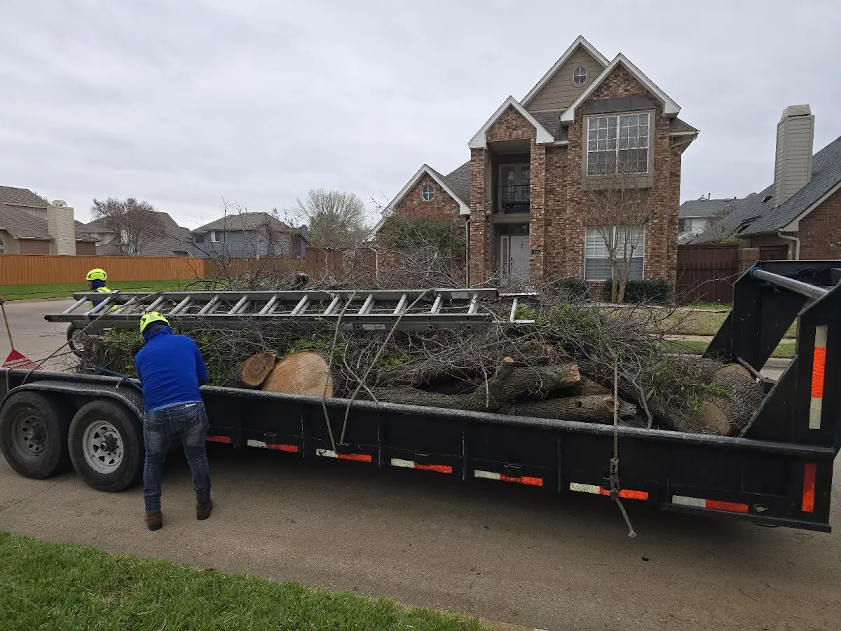 Expert Tree Pest Control with proper safety equipment in Burchard